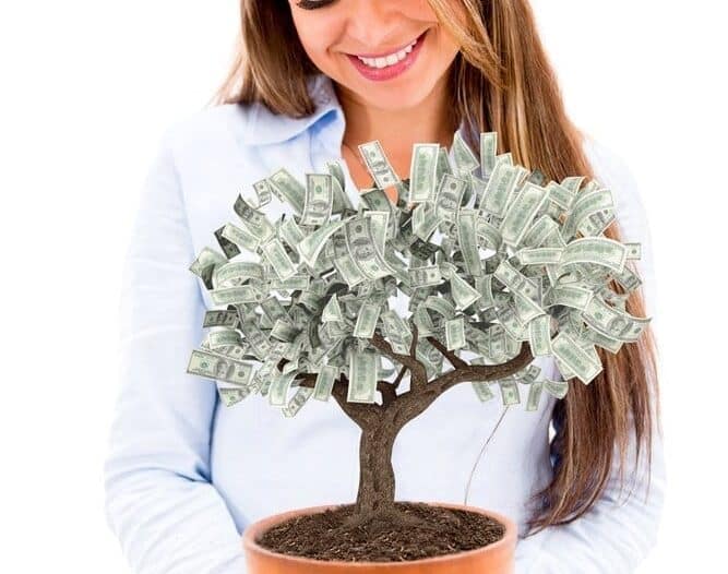 Businesswomannurturingamoneytree-isolatedoverwhitebackground