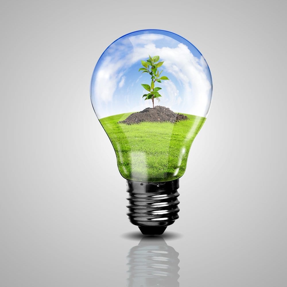 Save Energy and Money