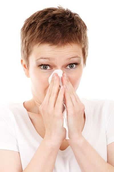 Ragweed Allergy Tips