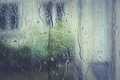 Fight Humidity at Home